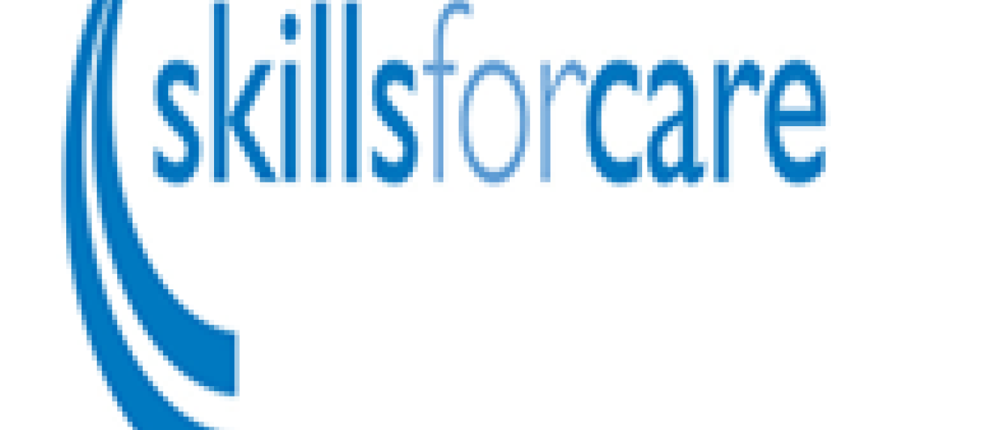 Logo Skills for care