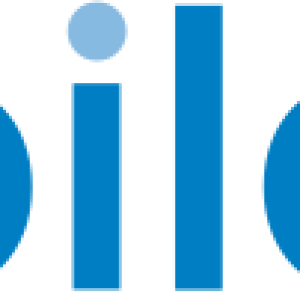 BILD text logo